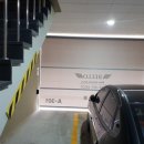 벨로무인텔 이미지