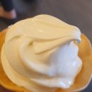 이시카와아이 | 금박 아이스크림 - 이시카와현 여행 ④] 하쿠이치...거리 | 카나자와 가볼만한곳 | 방문기 | 후기 | 리뷰