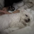 구름멍스테이 이미지