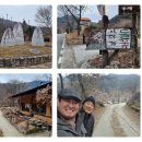 들꽃이야기 이미지