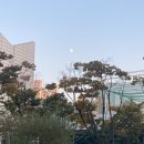 다이아거날써츠 이미지