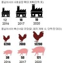 동남축산 파이낸셜뉴스