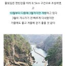 2025년10월19일 셋째주 일요일 철원 물윗길&amp;고석정 꽃 축제 트레킹 갑니다 이미지