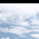 제주 하얀집 이미지