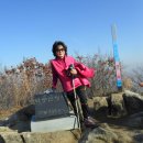 윤호문 Daum카페