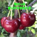 화성-향남-향남 8호 네이버블로그