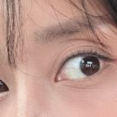 살롱더함브로우
