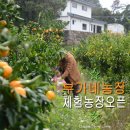 신하농장 이미지