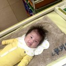 복양 | 광주, 나주 RSV 접종 후기(병원정보, 비용)