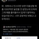 방송에서 쉬쉬했던 탈코의 영향력_twt 이미지