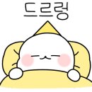거제도VIP