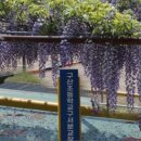 웅남동행정복지센터 이미지