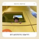솔로몬 | 광주 솔로몬로파크 체험후기 아이와 가기 좋은 법 체험관