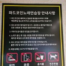 와드코인 노래연습장 이미지