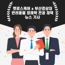 펫로스 케어 이미지