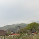 세븐일레븐영주행복점 | 진정한 쉼, 독채 애견동반숙소 경북예천영주로 여행 다녀온 찐후기