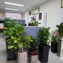 송천공인중개사사무소 이미지