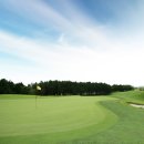 스프링데일 골프&리조트 이미지