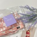 야간)라인댄스[초.중급] | 봄 폴웨어 추천 게이즈 팔레트 착샷 폴링 후기