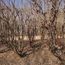 부동농장2 이미지