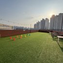 멍냥스테이 애견호텔유치원 이미지