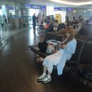 작은섬 오키나와로 출발 ♥ 포켓와이파이 + 오키나와 트래블인포 렌트카 대여하기! 일본 오키나와 여행