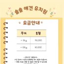 솔솔애견유치원 이미지