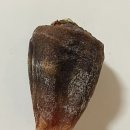 성화세탁소 이미지