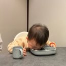 직장인 포크기타 (B) | 강남 역삼 맛집 추천 직장인 점심 한우 오마카세 룸식당 고우가 역삼역점