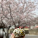 추자 정 민박 | 하추자 올래길 18-2