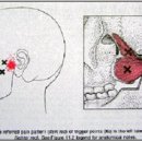 성가한의원 이미지