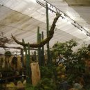 지례초등학교 이미지