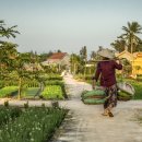 중부야채 이미지