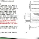 [11강-발목/발-14](93강) 발허리펴사이관절, 발허리발가락관절, 엄지발가락변형, 무지외반증(Hallux valgus)등 이미지