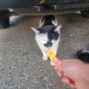 (주)두한 이미지