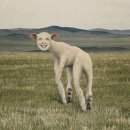 유쾌한 봄바람 콘서트 | 바람과 구름과 신의 무대 - 쏜애플 콘서트 후기