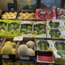 이레청과 이미지