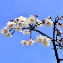 충무공파출소 이미지