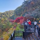 보발재 정상 주차장 이미지