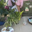 민화농장 이미지