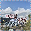 레드마블하우스 | 부모님과 함께하는 베트남 다낭여행 4박 5일④:미슐랭 반미, 한시장, 오행산, 린응사 원숭이