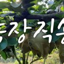 세종농장 이미지