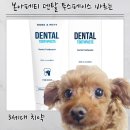 강아지나라 | 강아지 치약 본아페티｜덴탈 투스페이스 바르는 강아지 치약 사용 후기