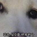 우주이불