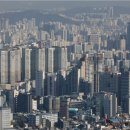 트럼프부동산중개 이미지