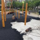 경서동 쑥공원 이미지