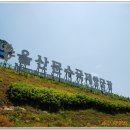 울산 대공원 장미축제와 트레킹 이미지