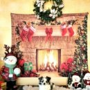 헤이도그 이미지