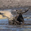 오늘은 회 이미지