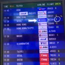 3 f 10 (쓰리에프텐) | 파라타항공나리타도쿄(T2)->인천(T1) WE504 탑승후기 (모바일체크인,체크인카운터, 수하물, 위치)